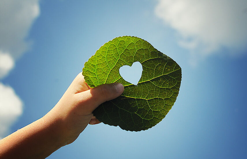 A leaf with an heart shaped hole in it is hold in the air, in the background there is a blue sky with a few clouds
